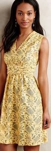 Anthropologie-- Plenty by Tracy Reese Dress